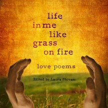 book_cover_poetry___life_in_me_like_grass_on_fire_by_bryceellicott-d4vm925